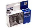 Epson T0481 Black Ink Cartridge